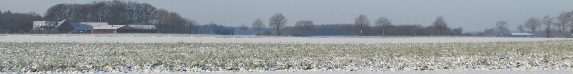 Dorfgemeinschaft Benstrup-Steinrieden-Madlage e.V.