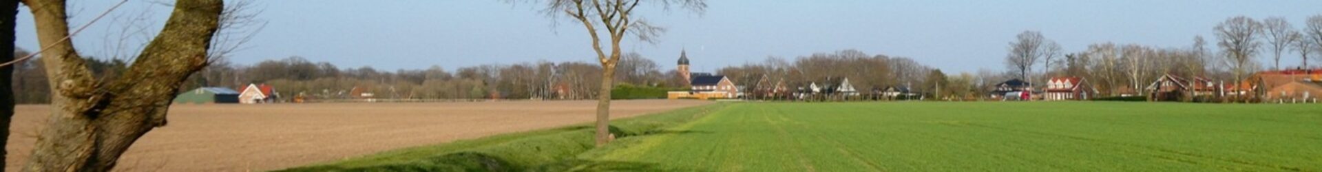 Autor: <span>Michael Lau</span>